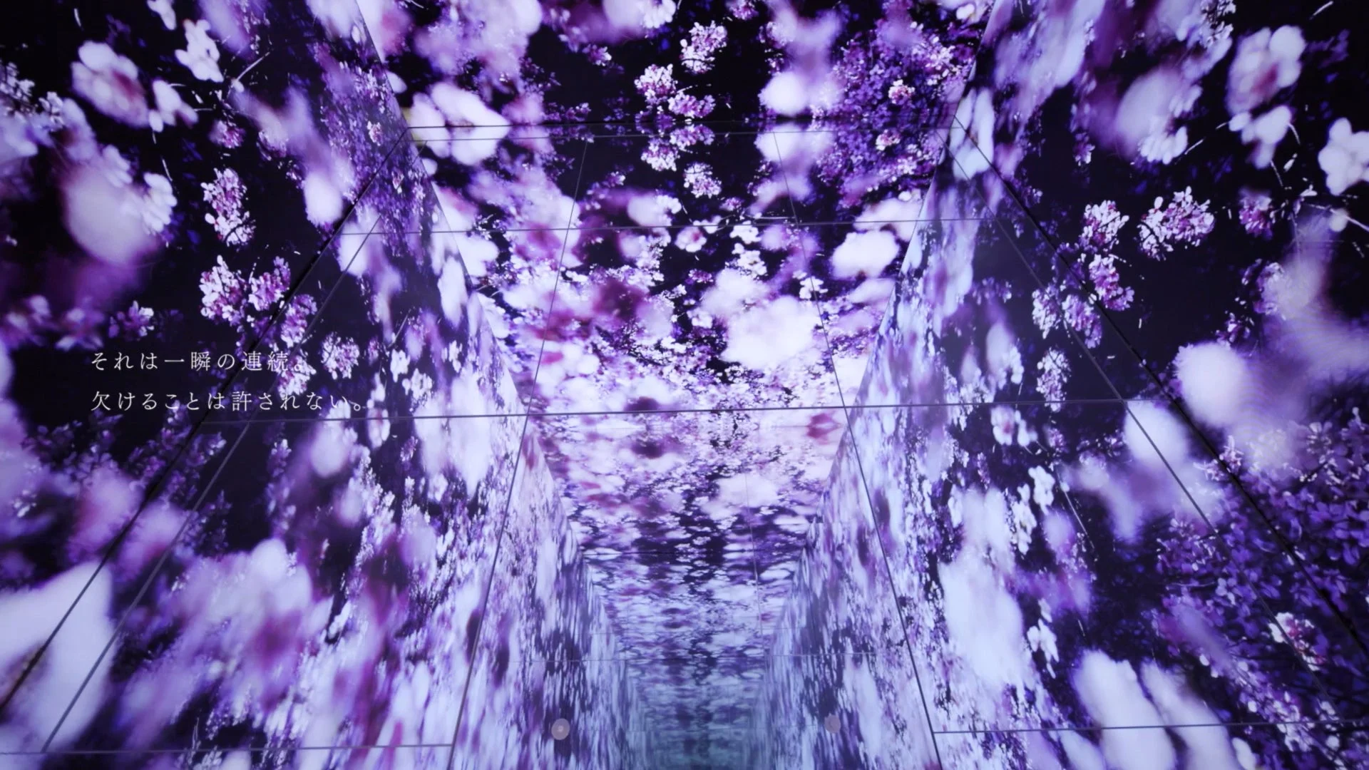 紫の花のデジタルアート