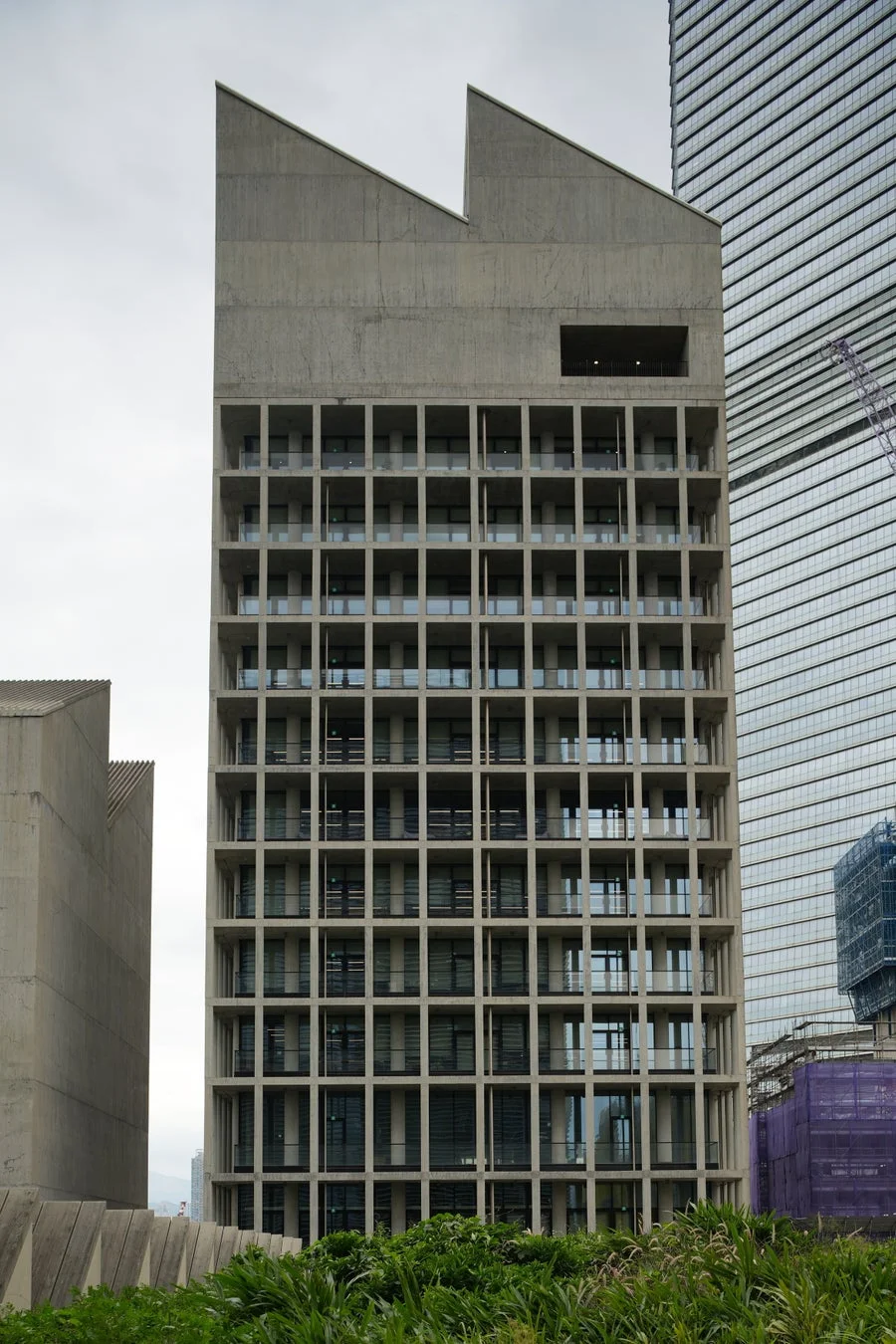 グリッド状の窓が特徴的なモダンな建物